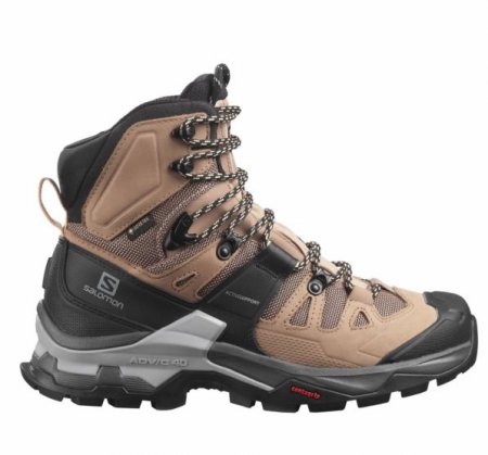 SALOMON L41293000 Quest 4 GTX W sirocco/mocha mousse